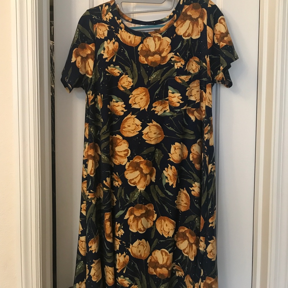 Lularoe Carly Dress XS - Legging Material